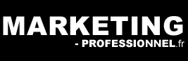 Logo du site marketing-professionnel.fr